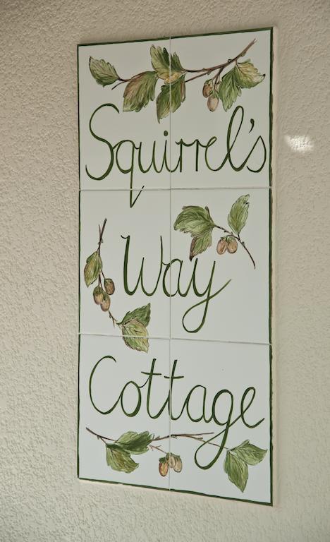 Squirrels Way Cottages Cape Town Dış mekan fotoğraf